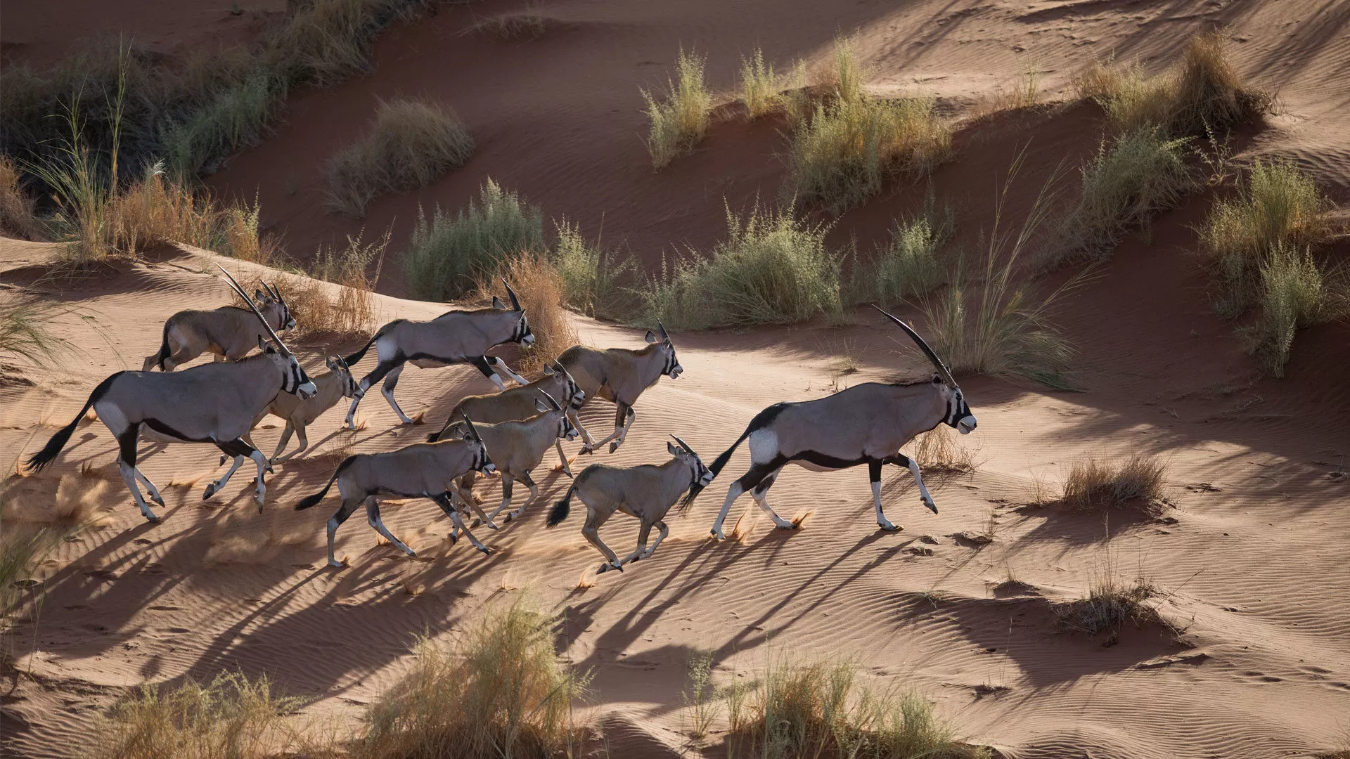 Safári na Namíbia Luxury