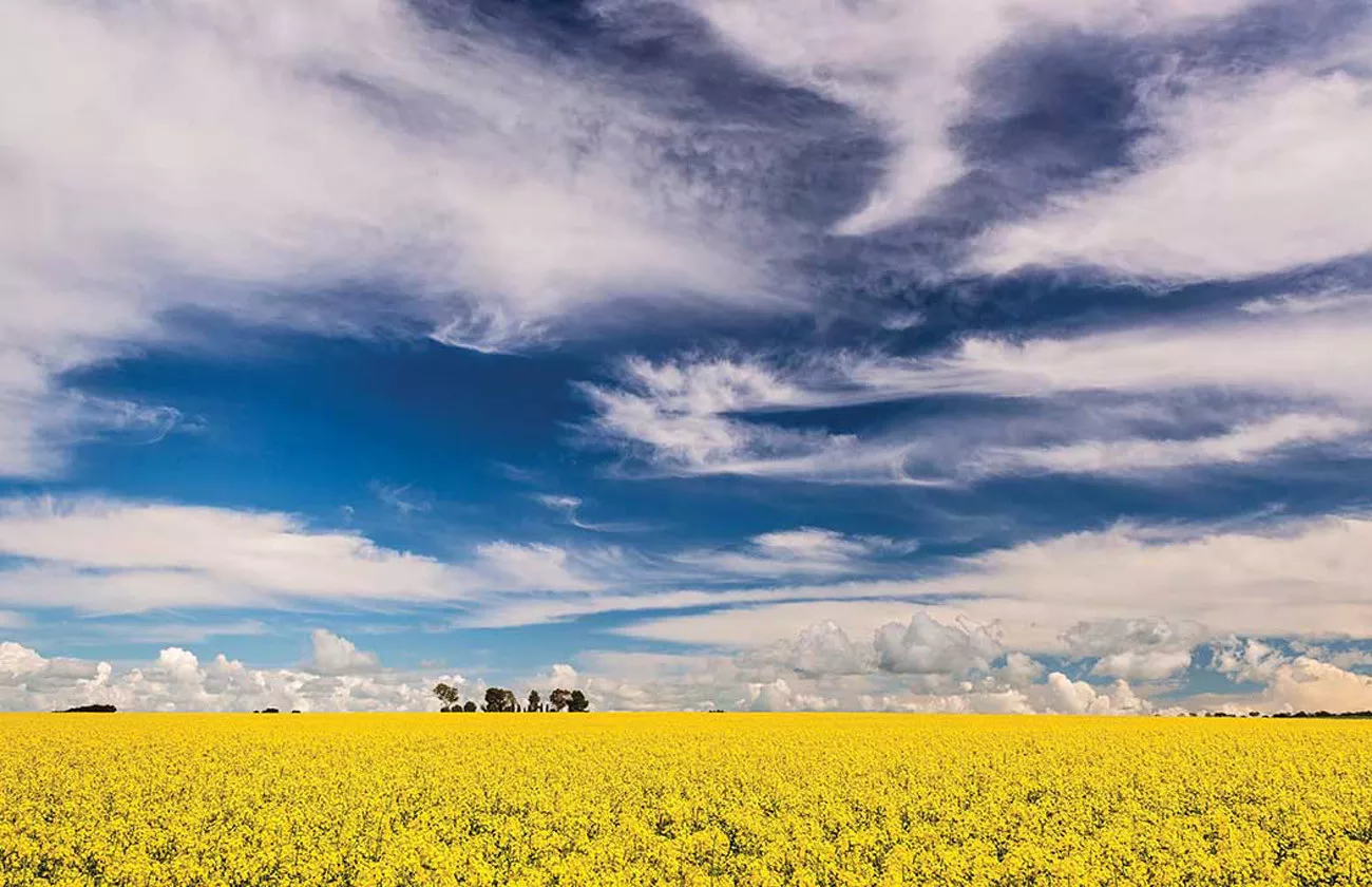 Austrália em sua essência 