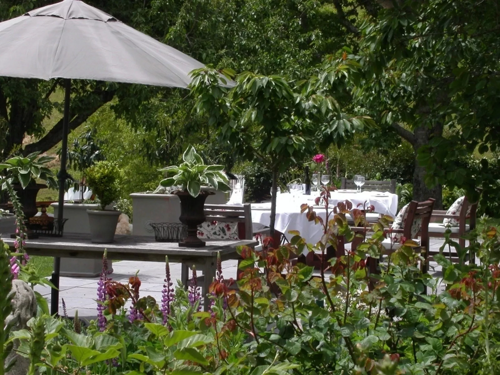 Terra Média na Nova Zelândia Luxury