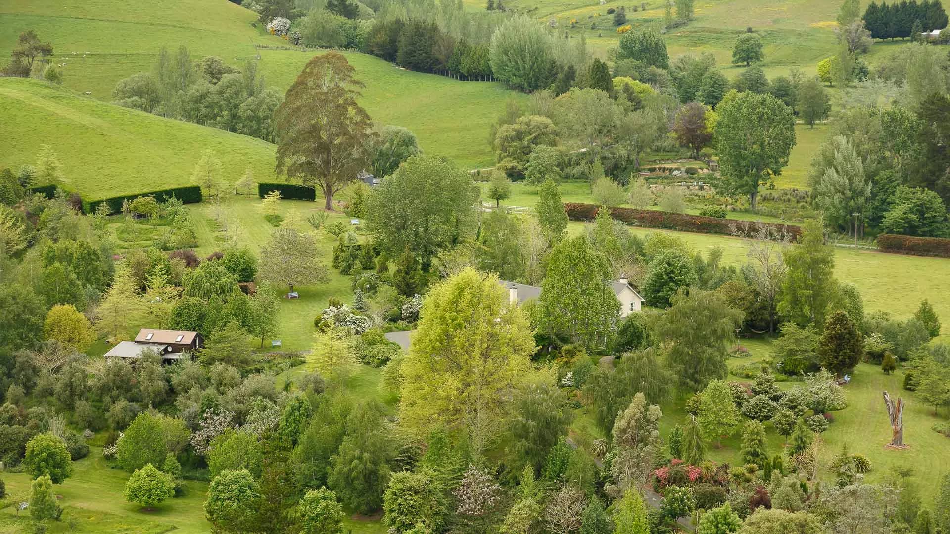 Terra Média na Nova Zelândia Luxury