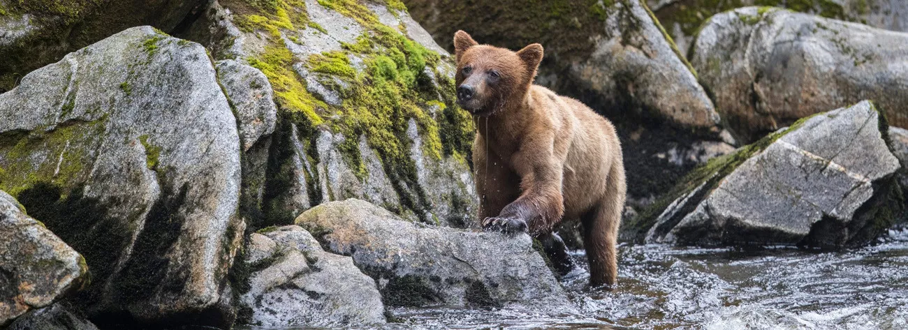 Seabourn Sojourn: Fiordes do Alasca e Canadá  