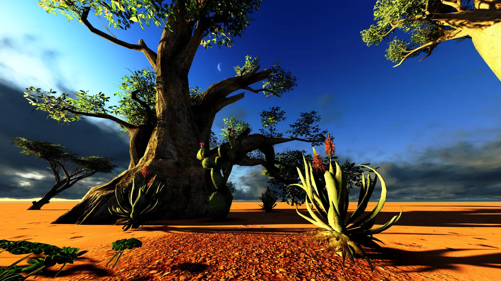 Madagascar Essencial 