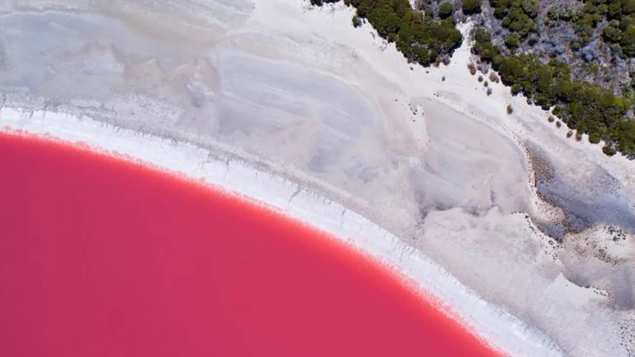 Austrália Econômica 