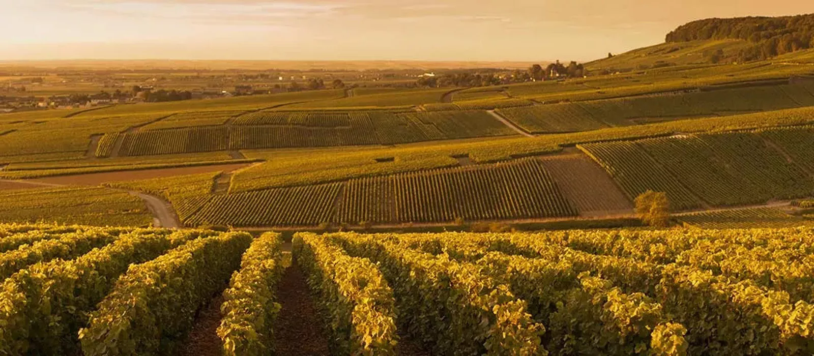 De Paris a Lyon - Glamourosa França  