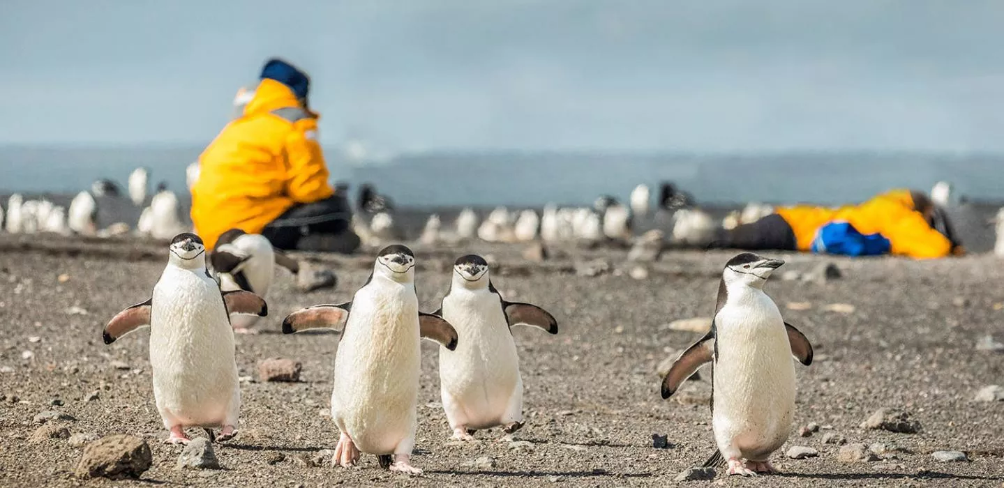 Eclipse Solar na Antártida e Geórgia do Sul
