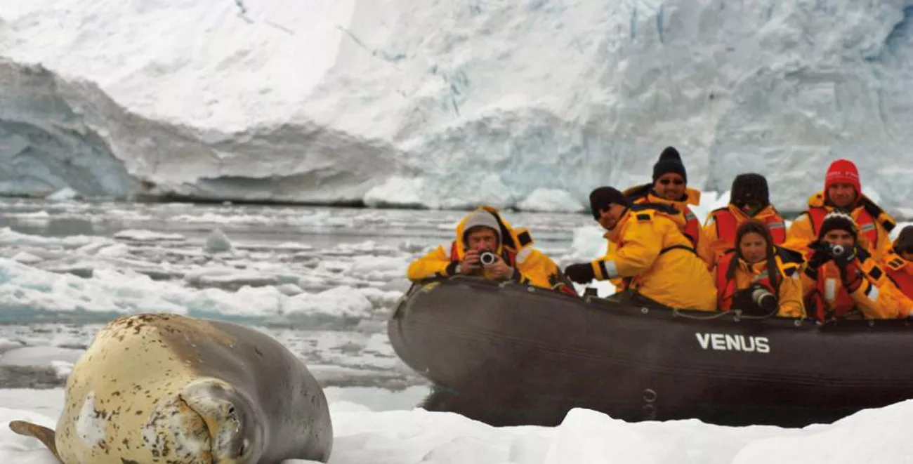 Eclipse Solar na Antártida e Geórgia do Sul
