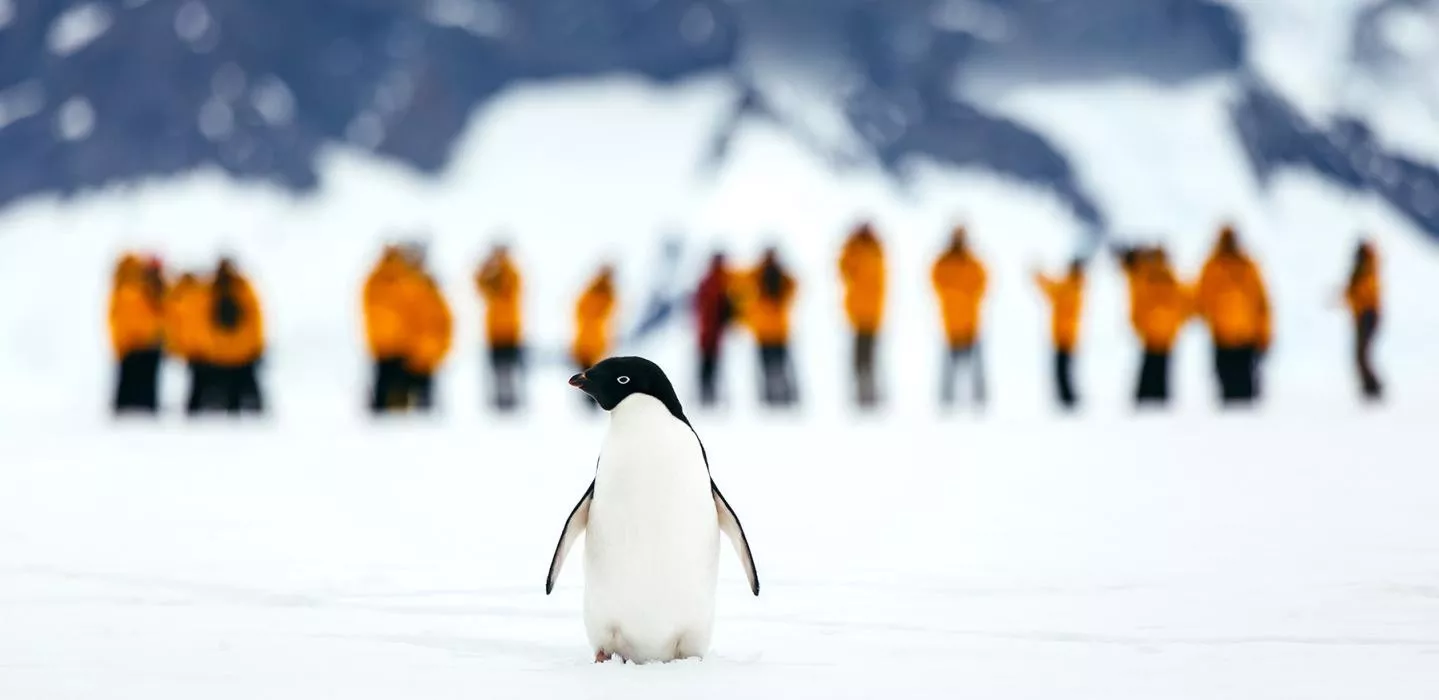 Eclipse Solar na Antártida e Geórgia do Sul