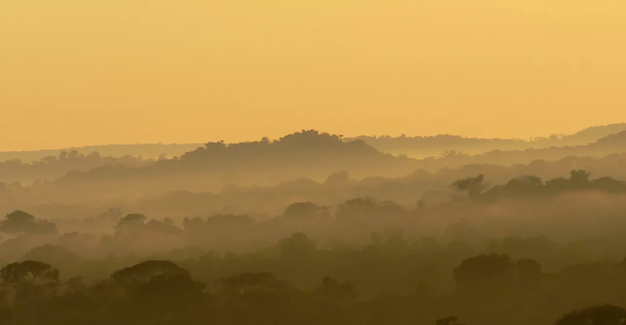 Conhecendo as belezas da Amazônia em Família