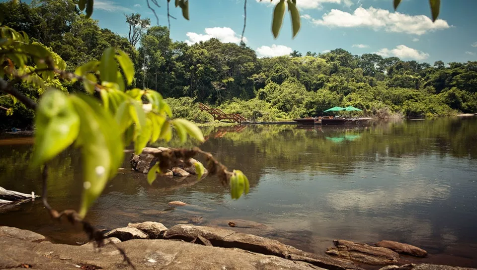 Conhecendo as belezas da Amazônia em Família