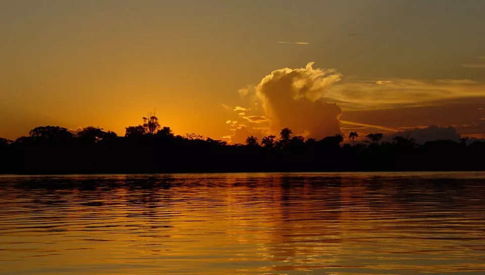 Conhecendo as belezas da Amazônia em Família