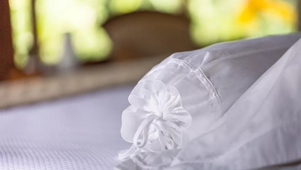 Conhecendo as belezas da Amazônia em Família