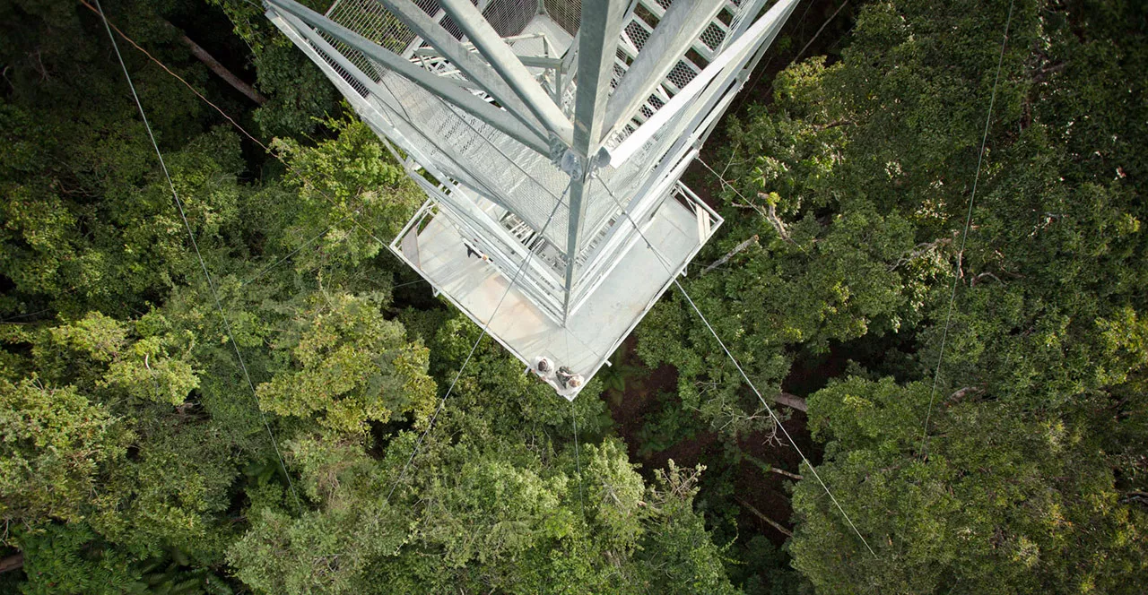Conhecendo as belezas da Amazônia em Família