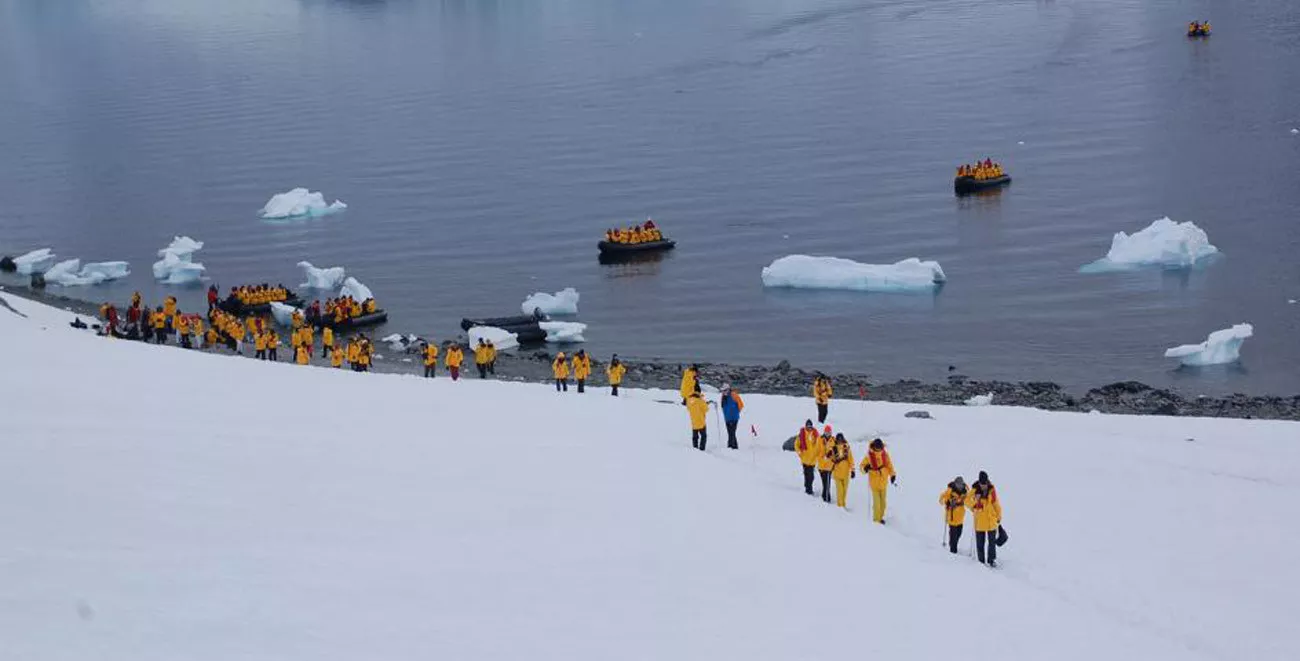 Eclipse Solar na Antártida e Geórgia do Sul