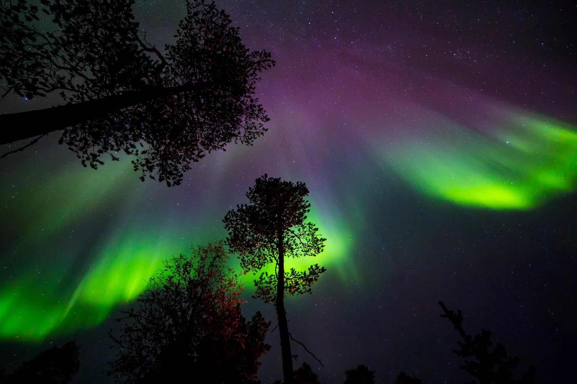 lendas-de-inverno-laponia