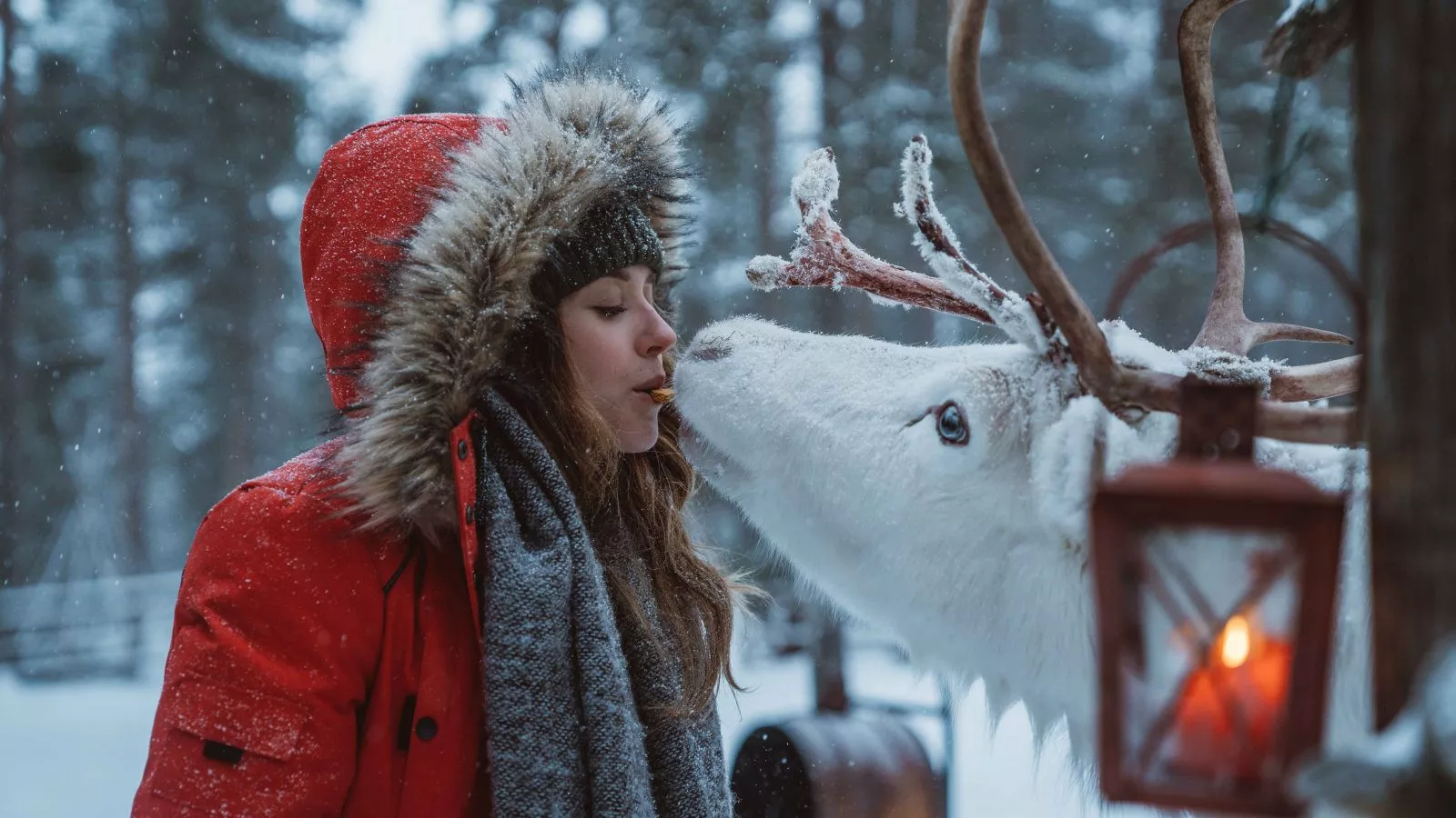 Lendas do Natal na Lapônia