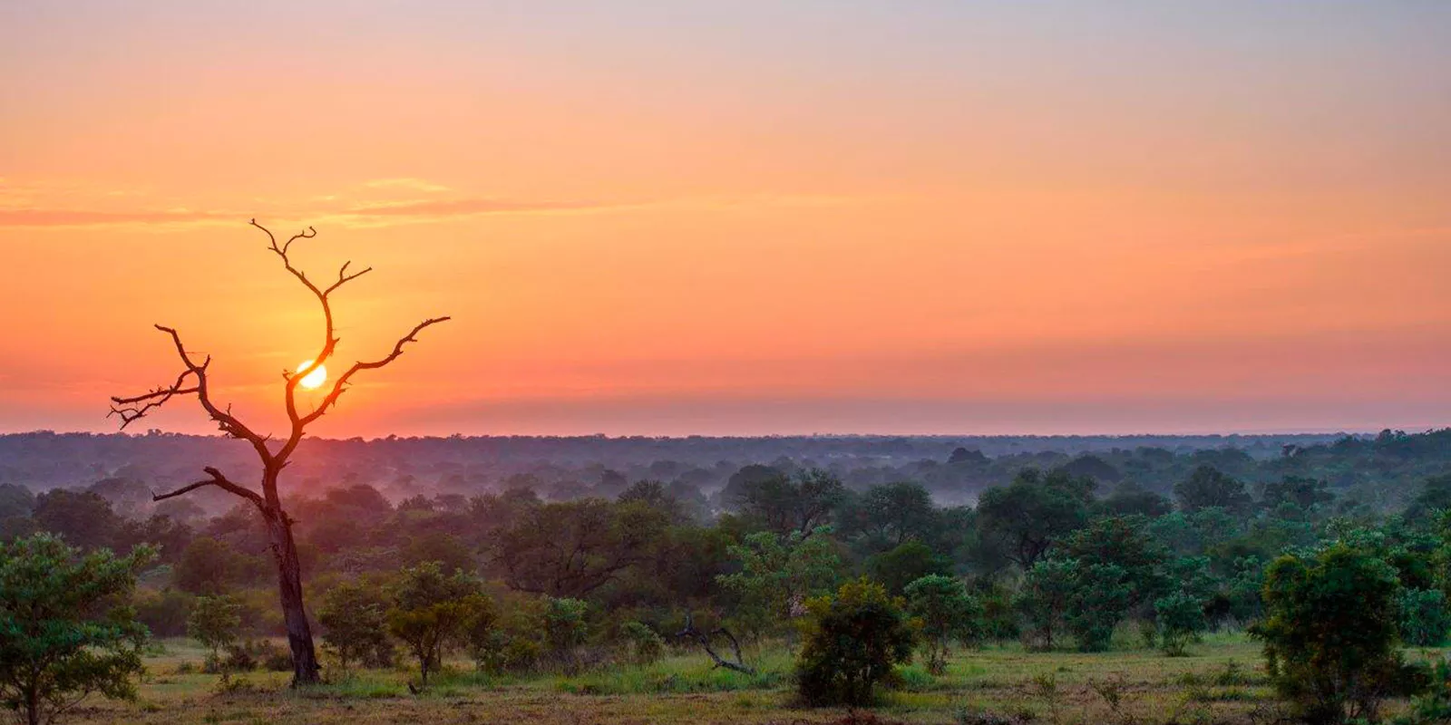 África do Sul com Crianças 