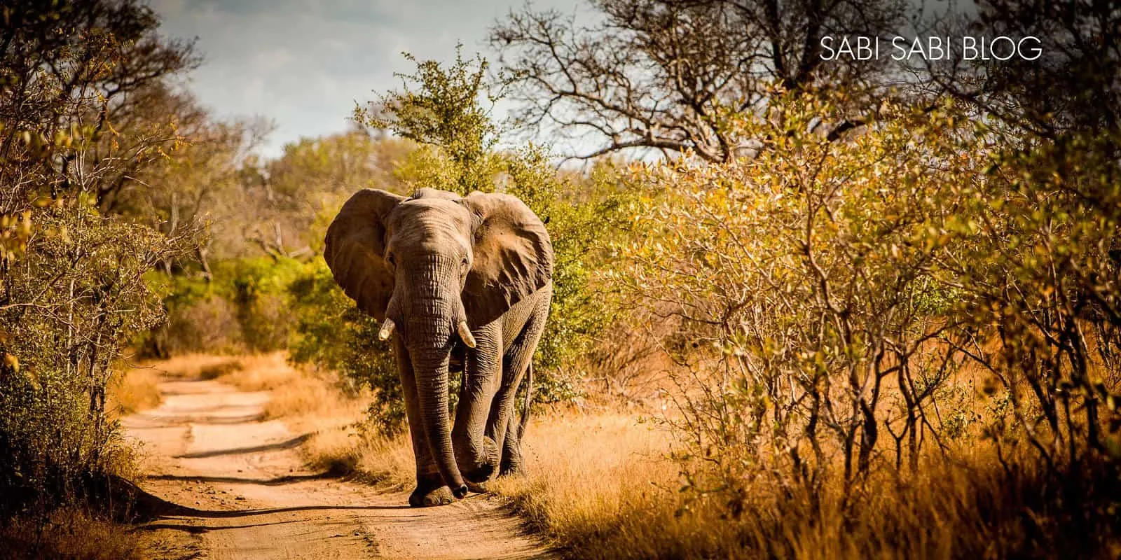 África do Sul com Crianças 