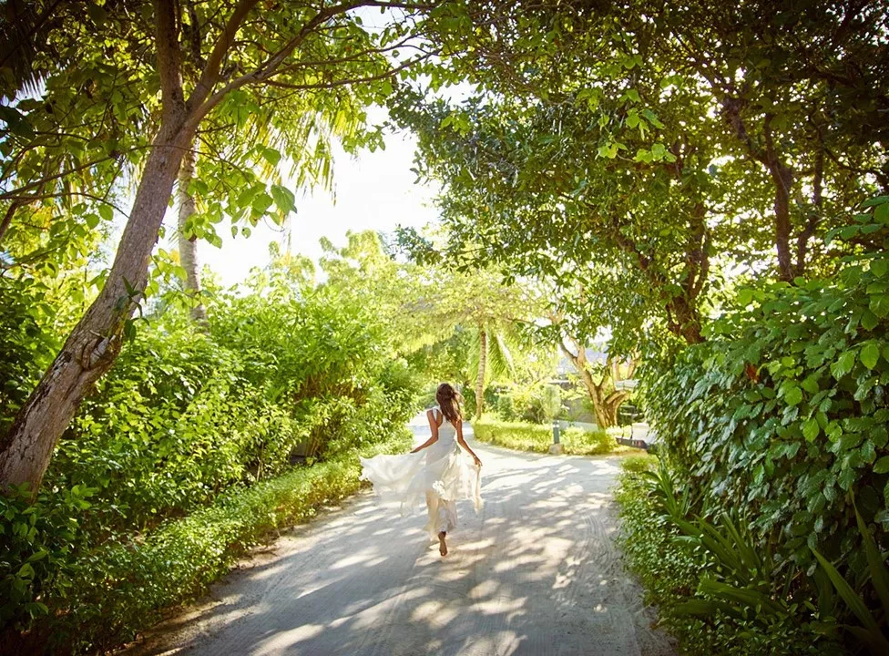 Elopement Wedding no LUX South Ari Atoll Resort & Villas