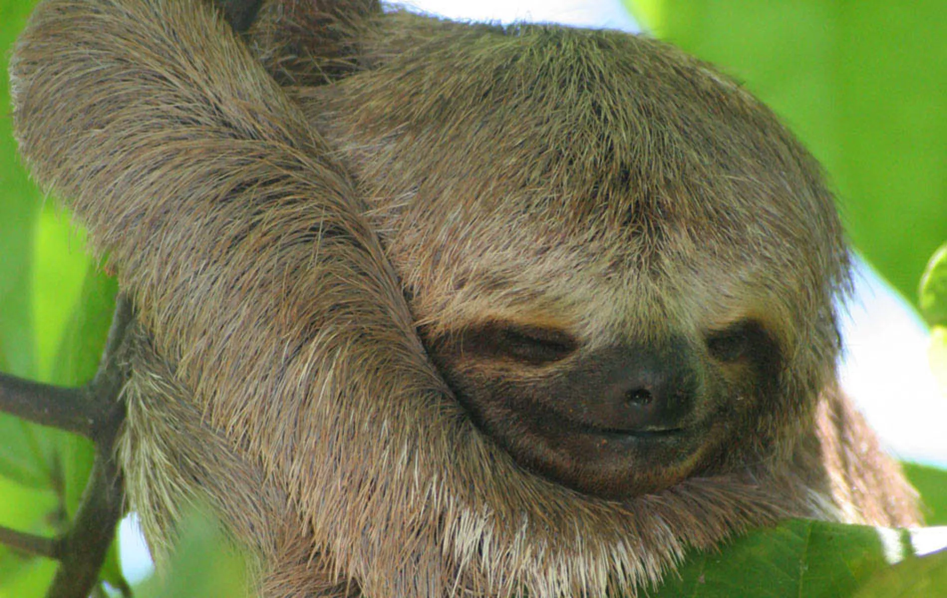 Lençóis Maranhenses e Amazônia
