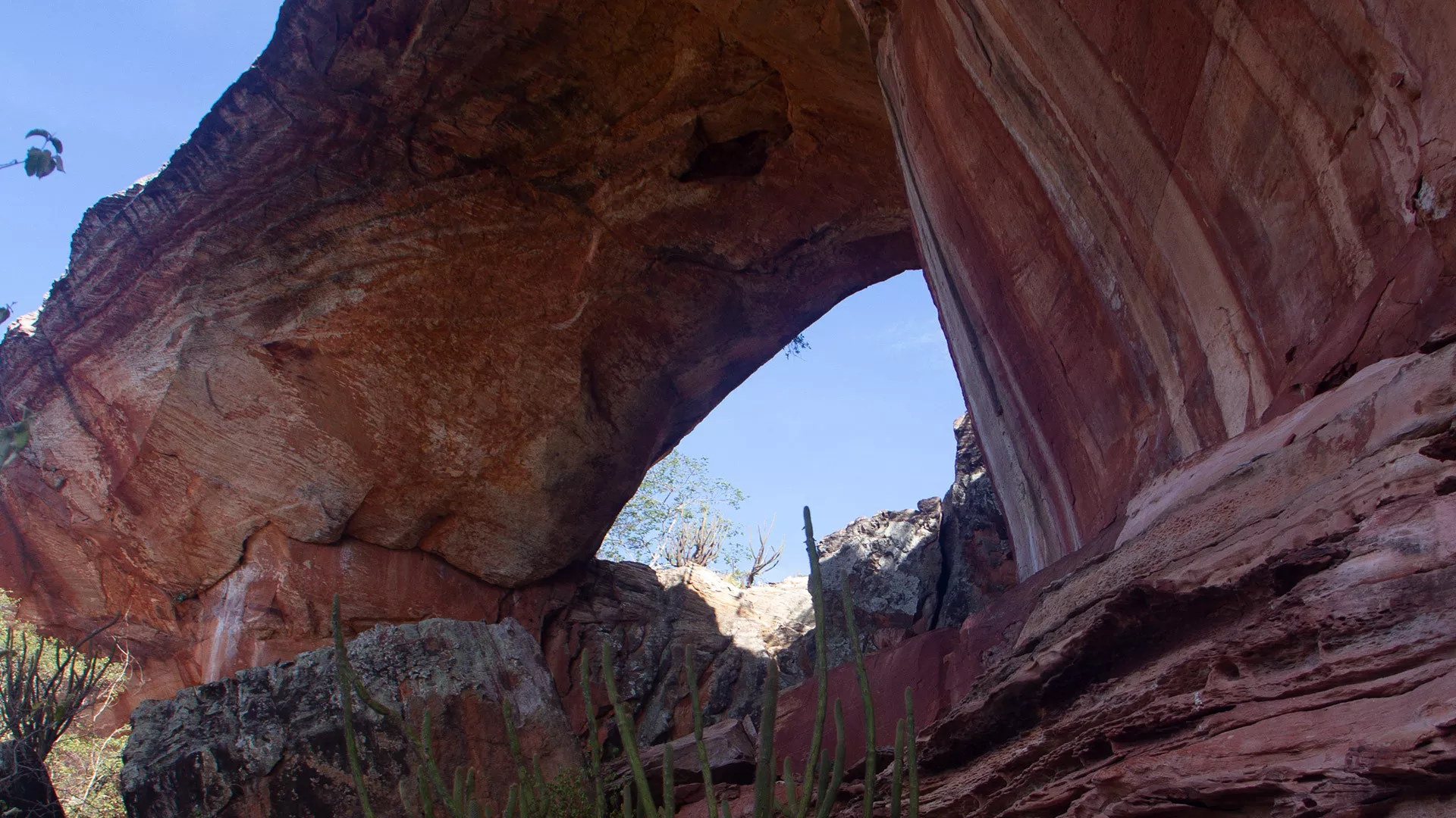 Parque Nacional da Serra da Capivara & Serra das Confusões 