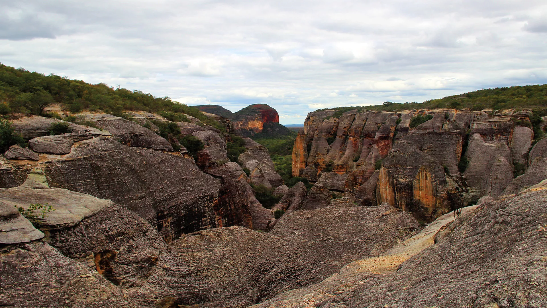 Parque Nacional da Serra da Capivara & Serra das Confusões 