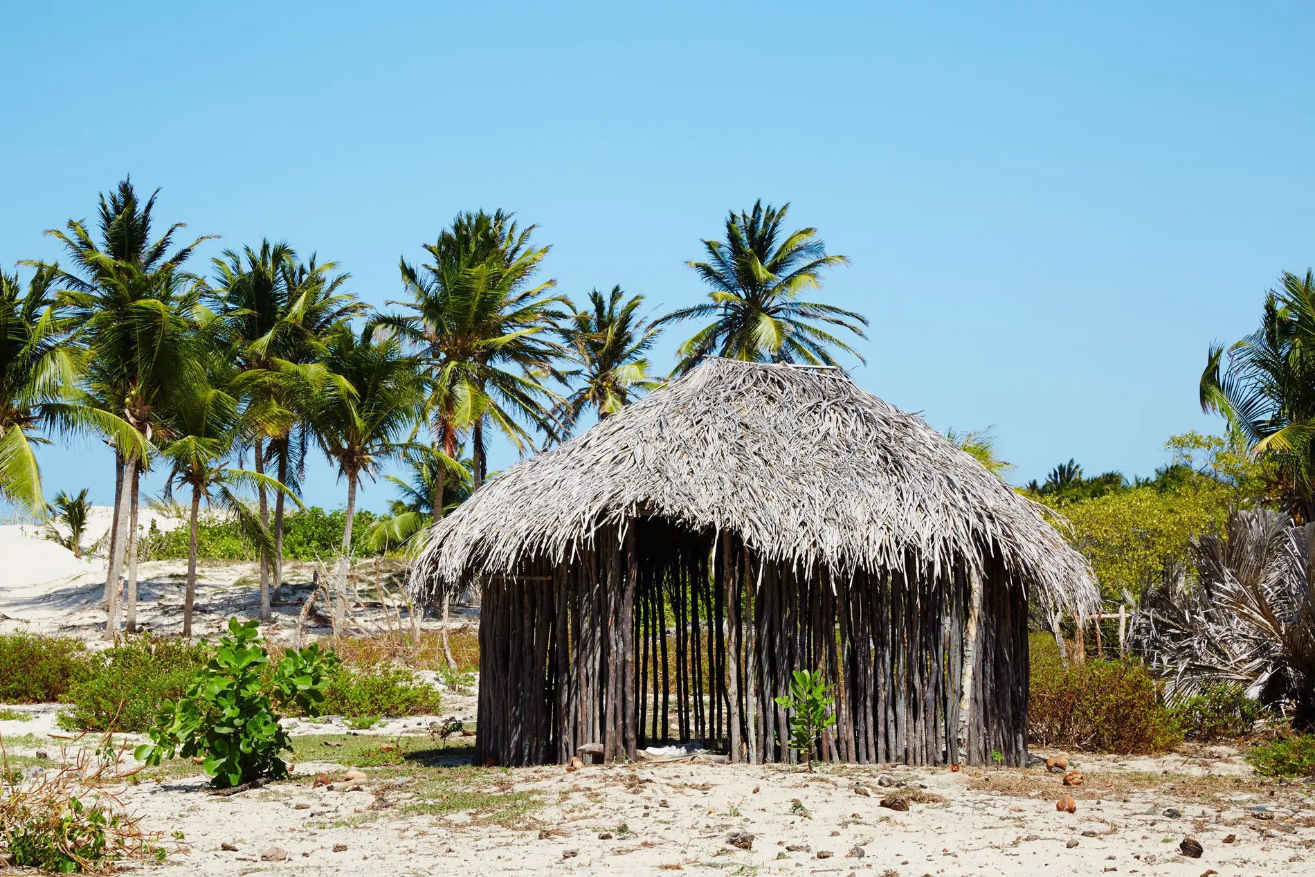 Lençóis Maranhenses e Amazônia