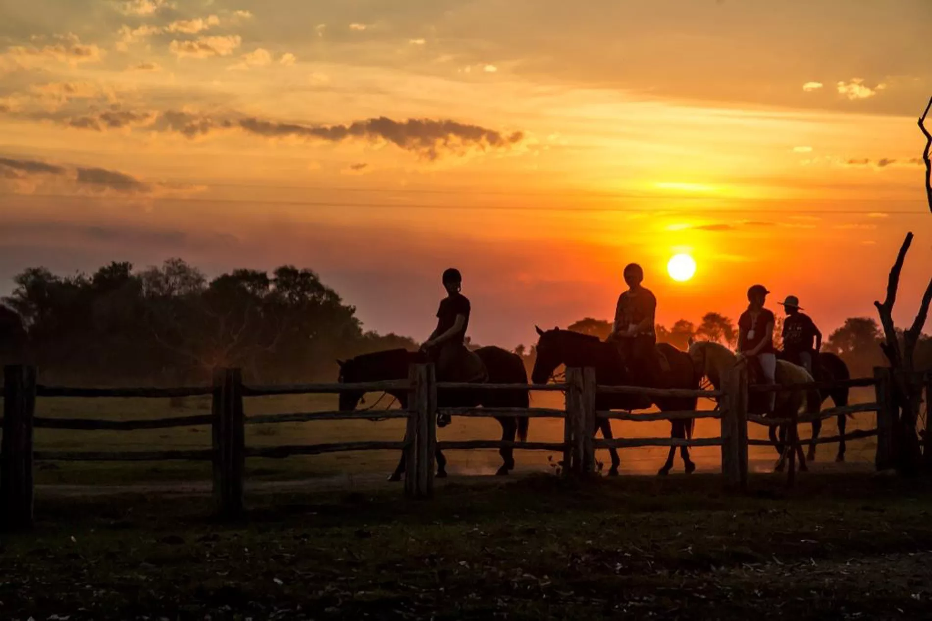 Pantanal em Família 