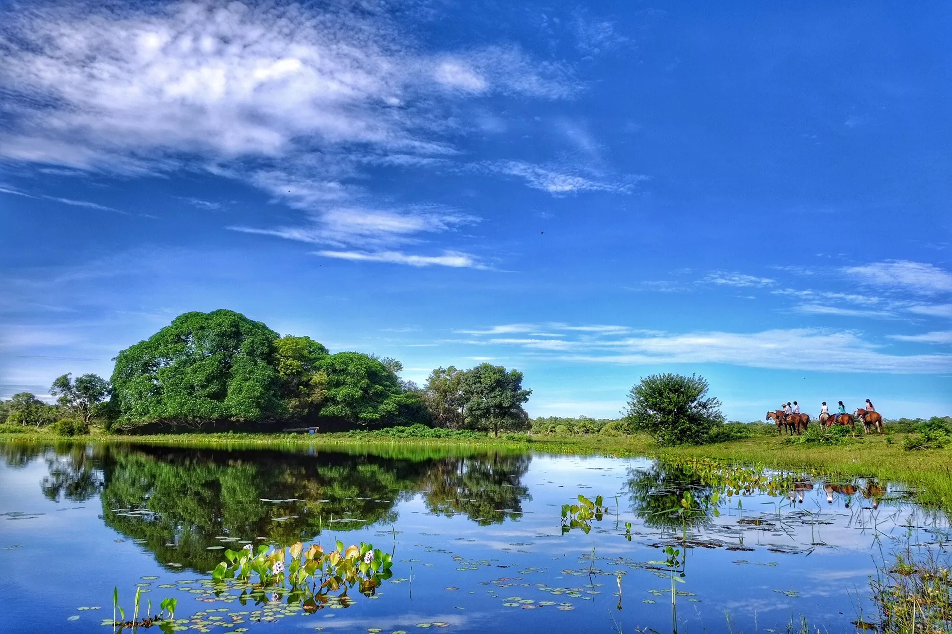 Pantanal em Família 