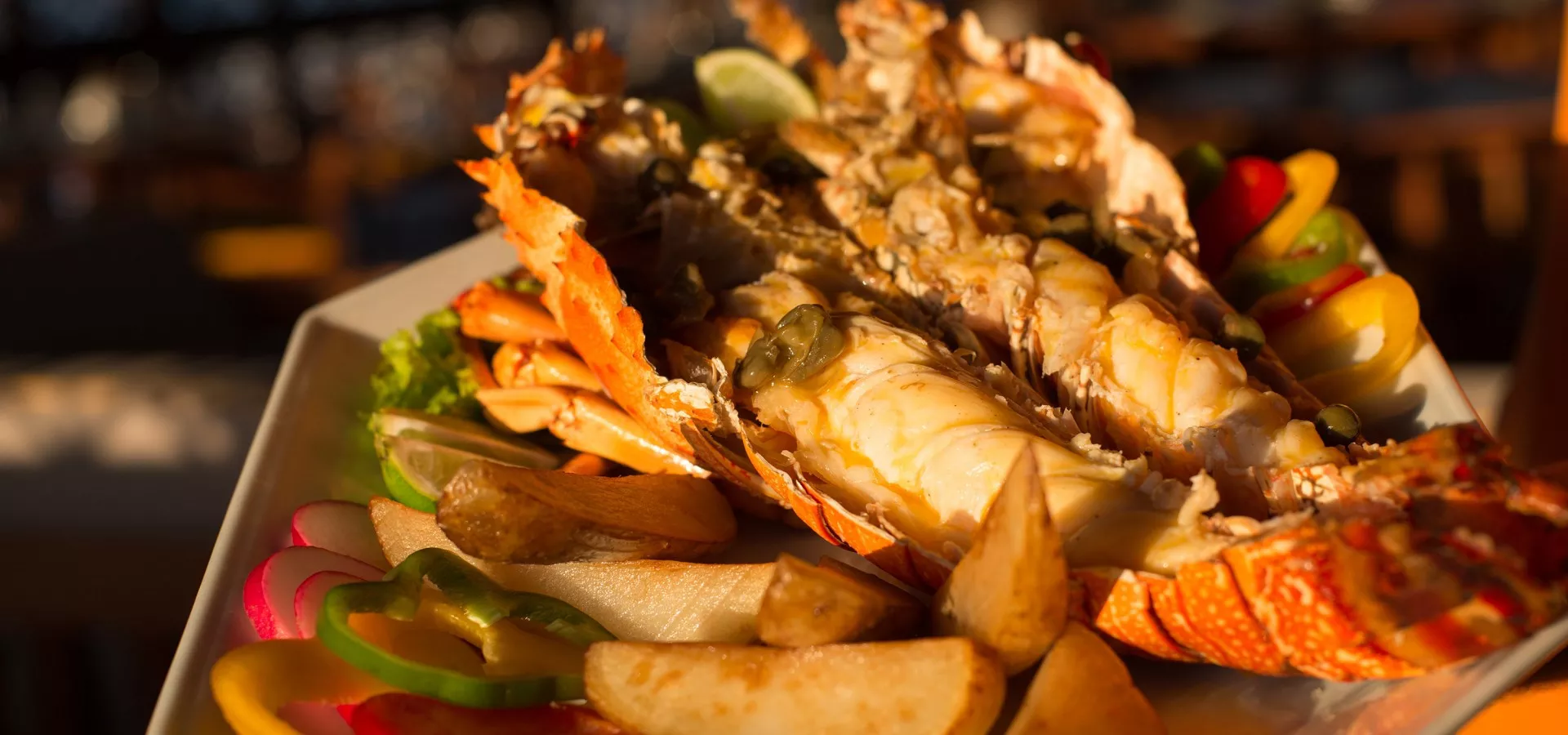 Jaguaribe Lodge & Kite