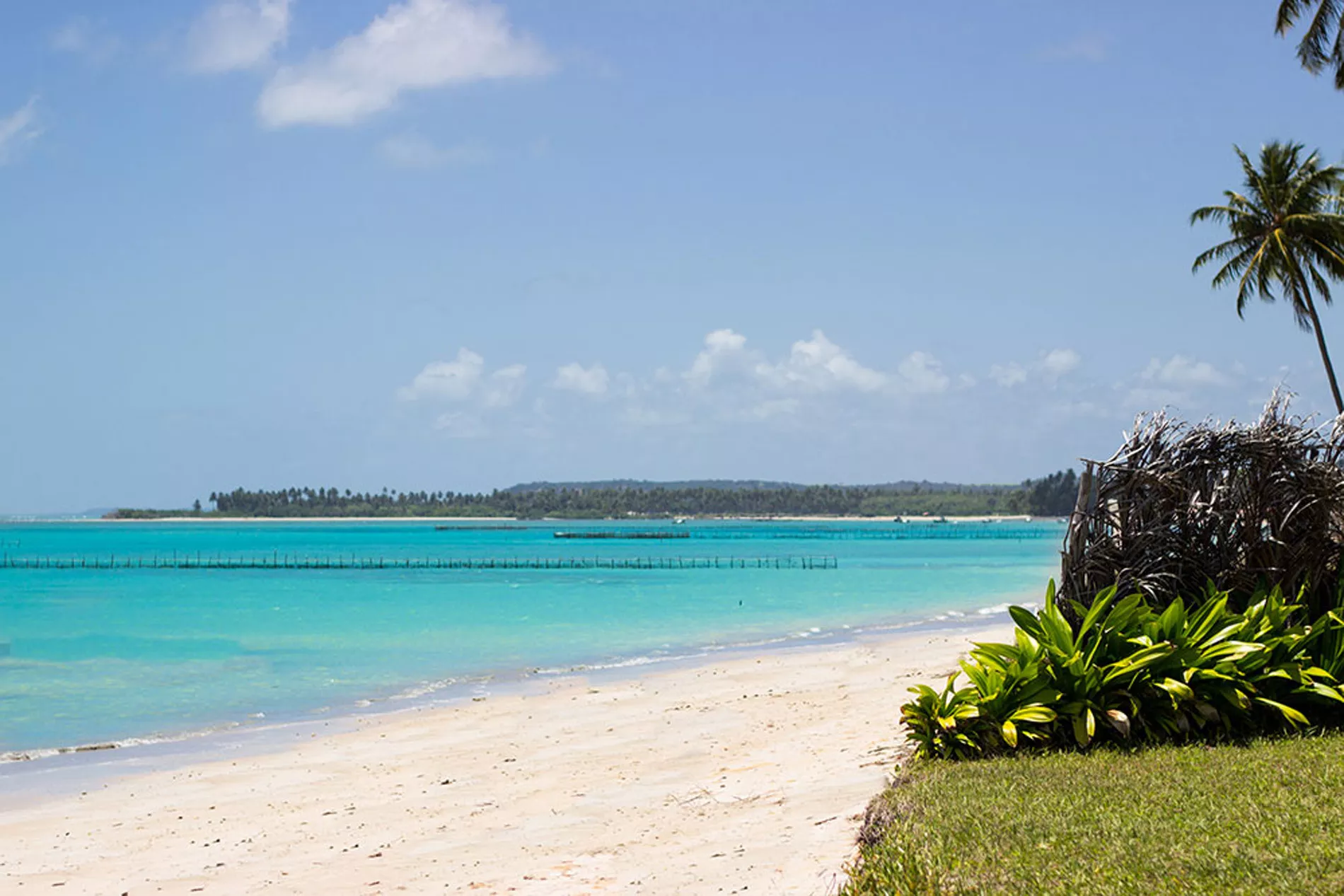 São Miguel dos Milagres