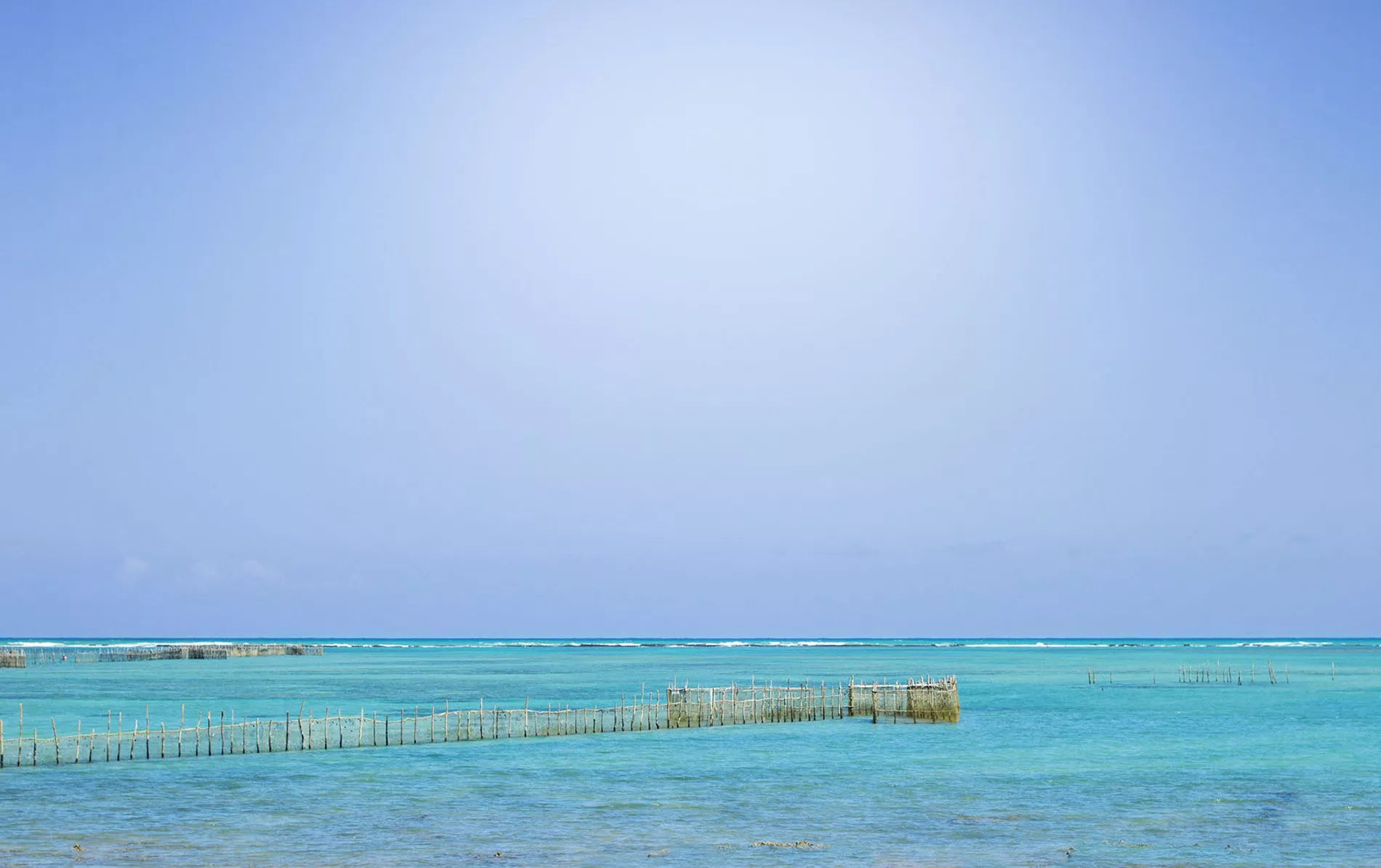 São Miguel dos Milagres