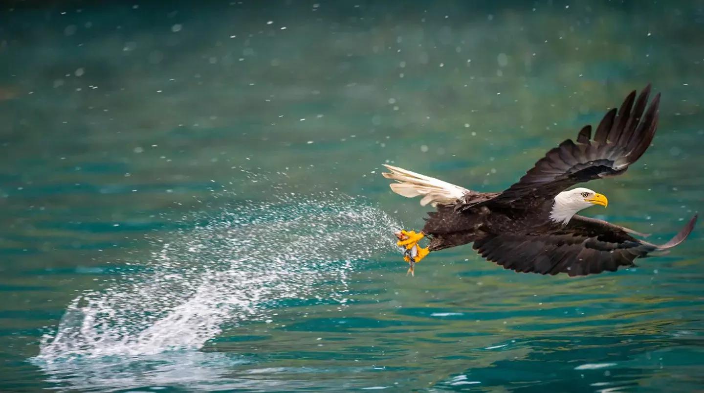 Bliss Seattle a Seattle