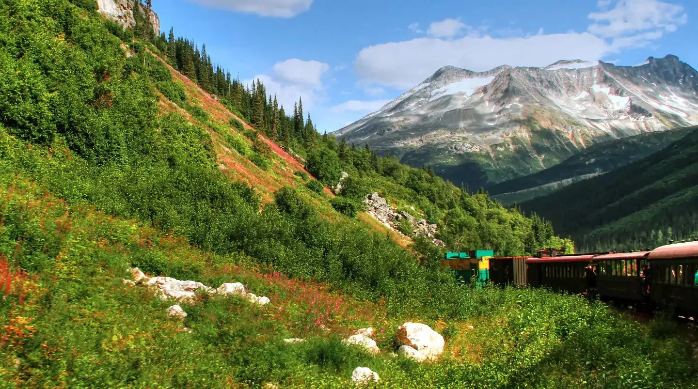 Bliss Seattle a Seattle