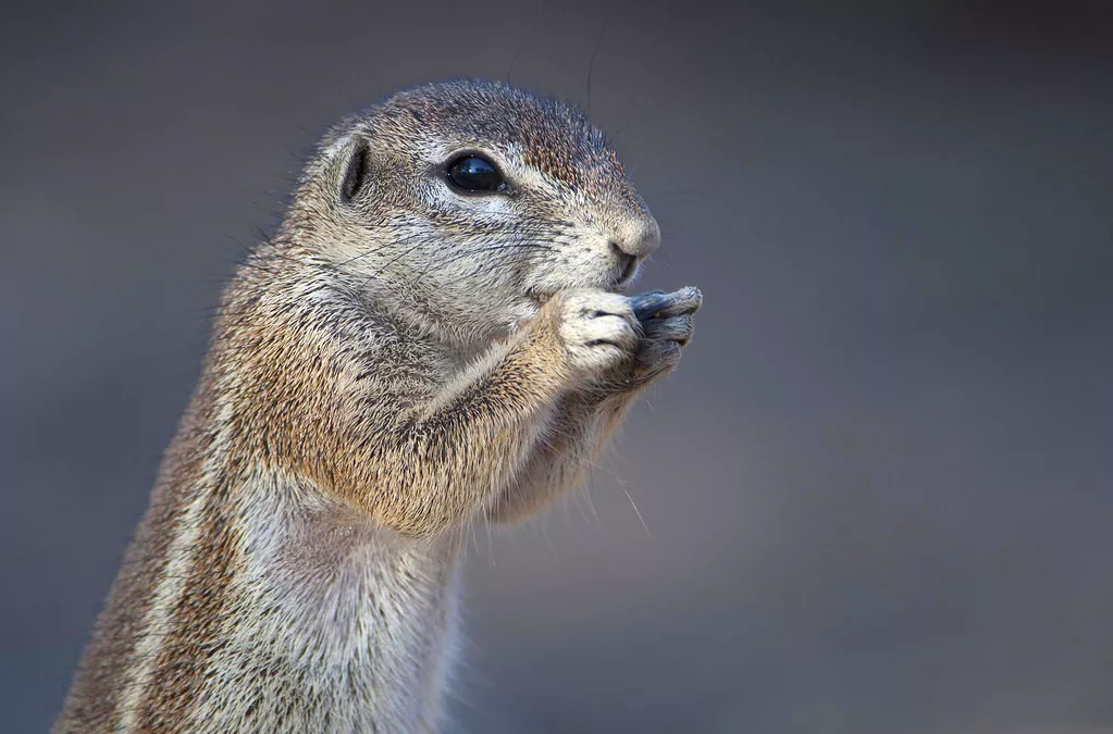 Paisagens da Namíbia