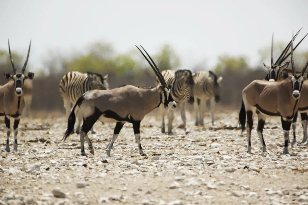 Paisagens da Namíbia