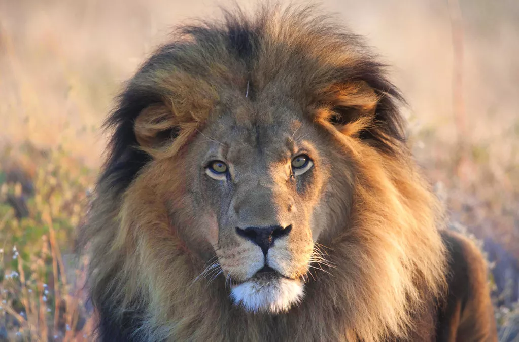 Paisagens da Namíbia