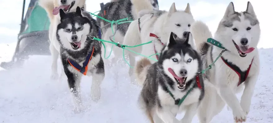 Bliss Seattle a Seattle