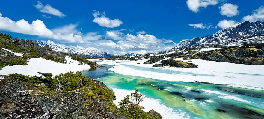 Bliss Seattle a Seattle