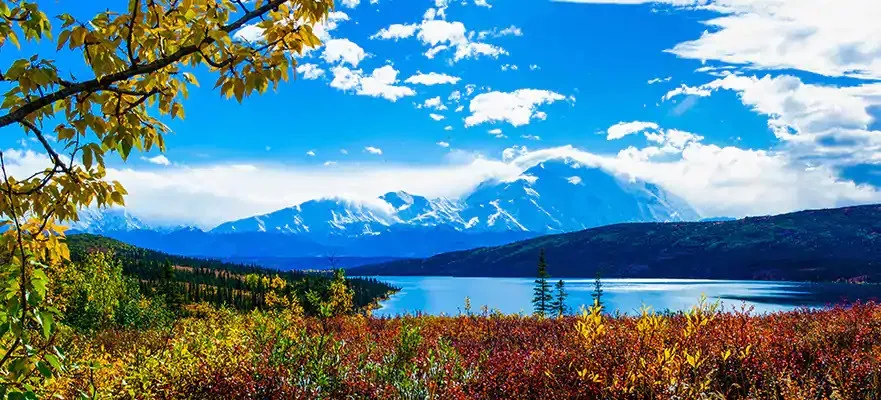 Bliss Seattle a Seattle