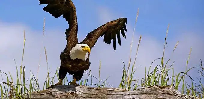 Bliss Seattle a Seattle