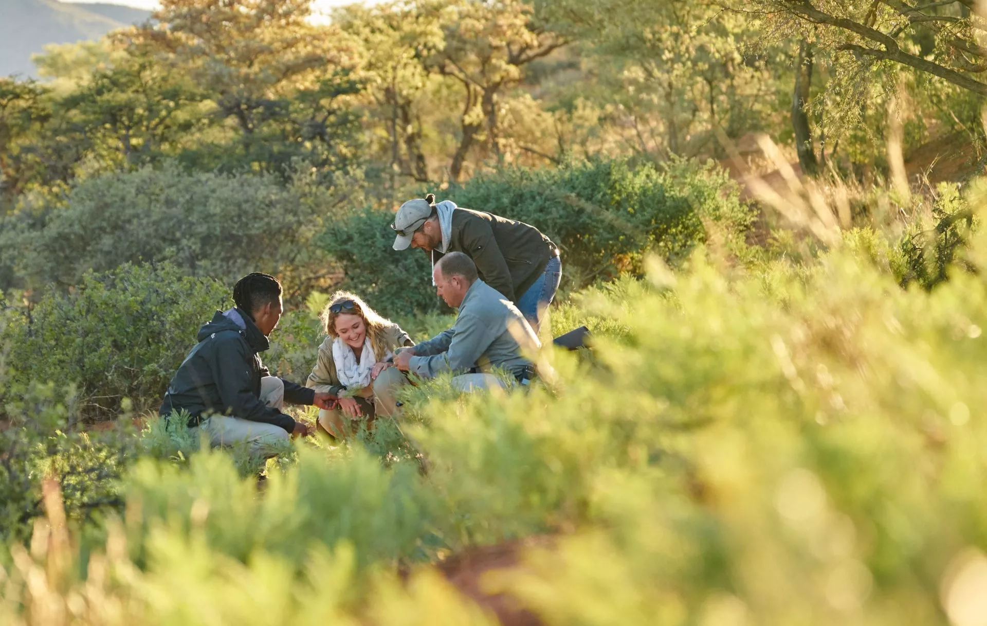 Safári África do Sul e Kalahari