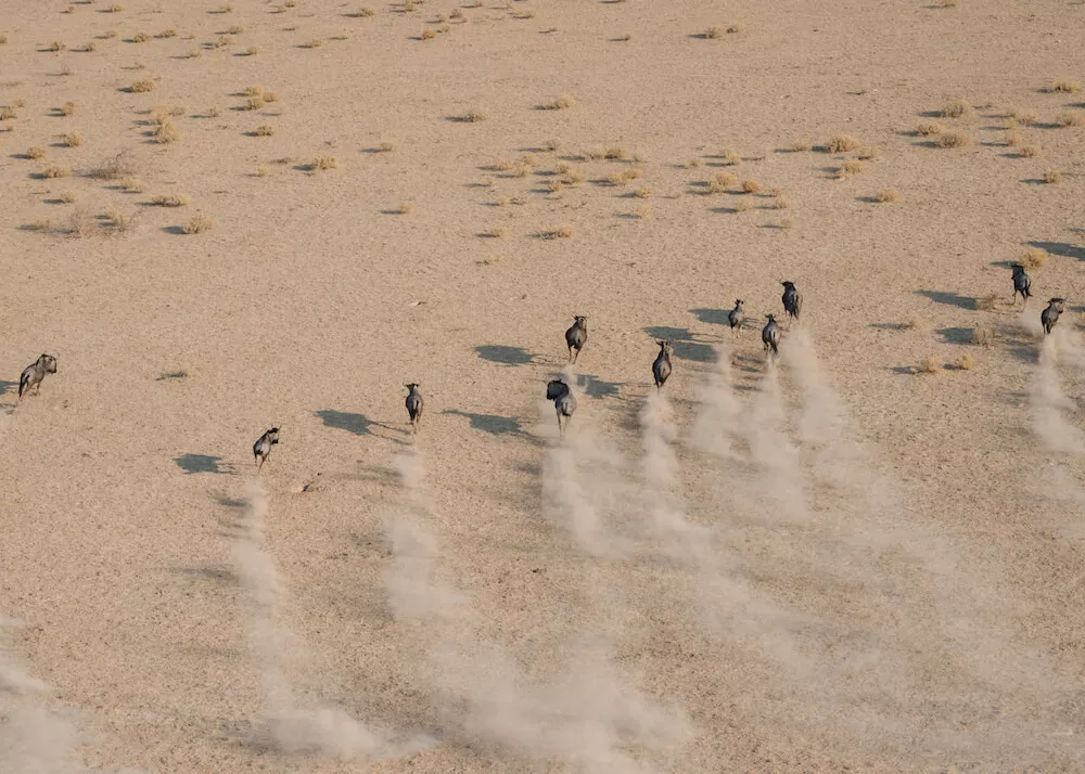 Self Drive e Safári com guia na Namíbia 