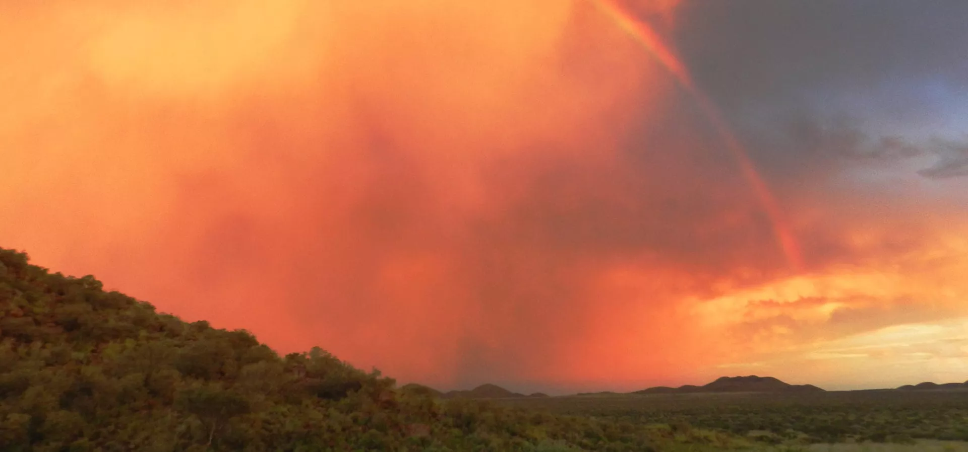 Safári África do Sul e Kalahari