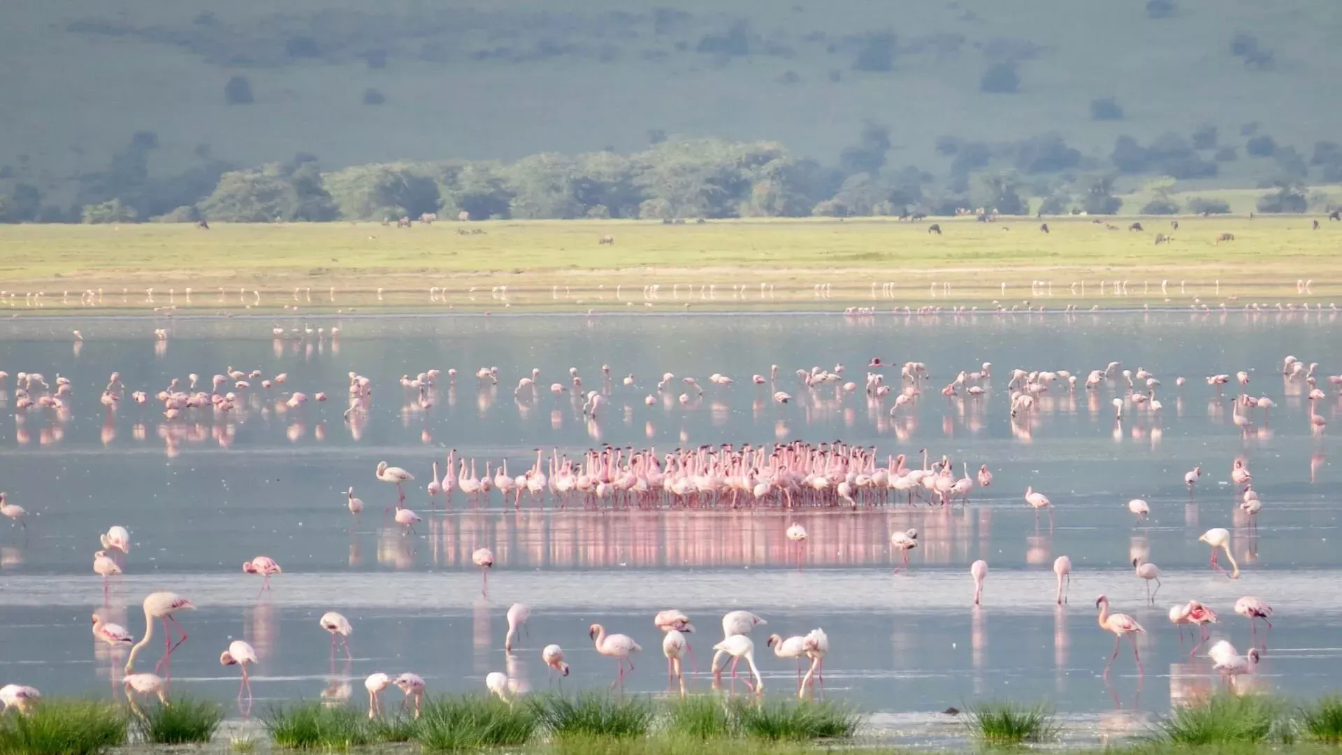 Tanzânia e Zanzibar com Safári