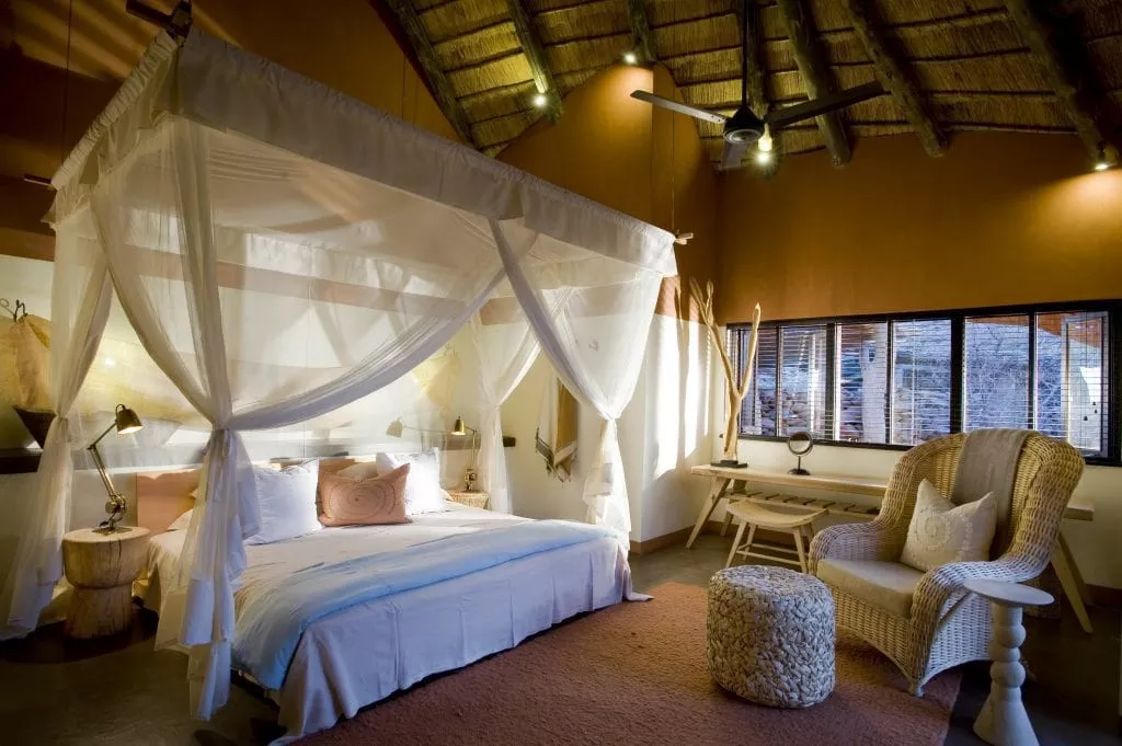 Safári África do Sul e Kalahari