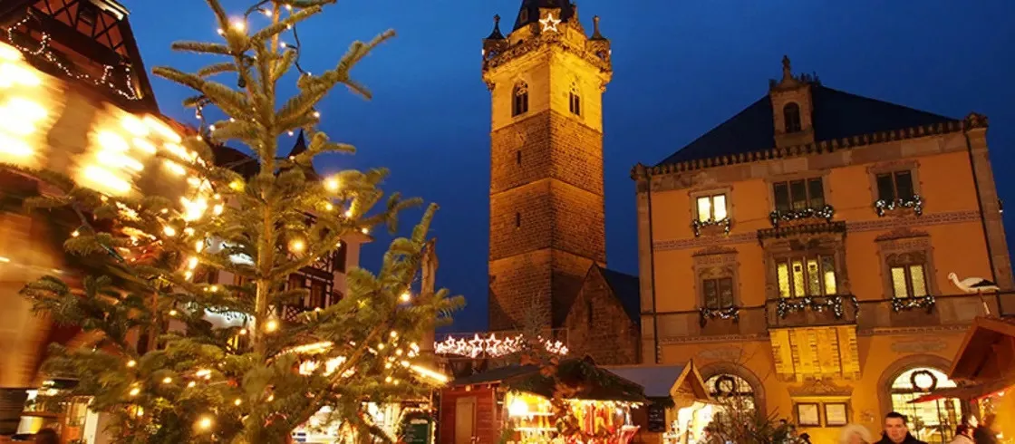A magia da floresta negra e da Alsácia