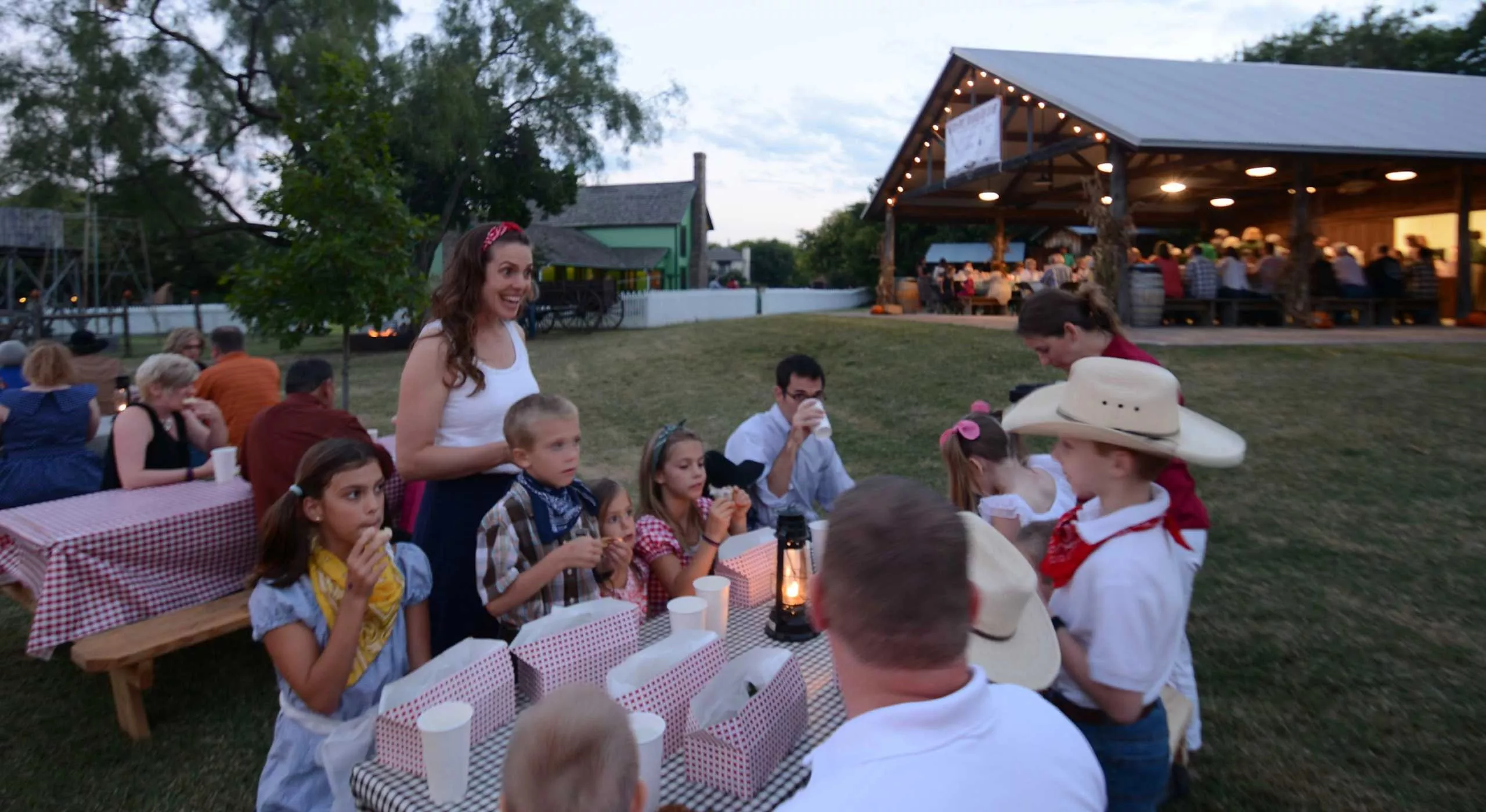 Grapevine Fly & Drive