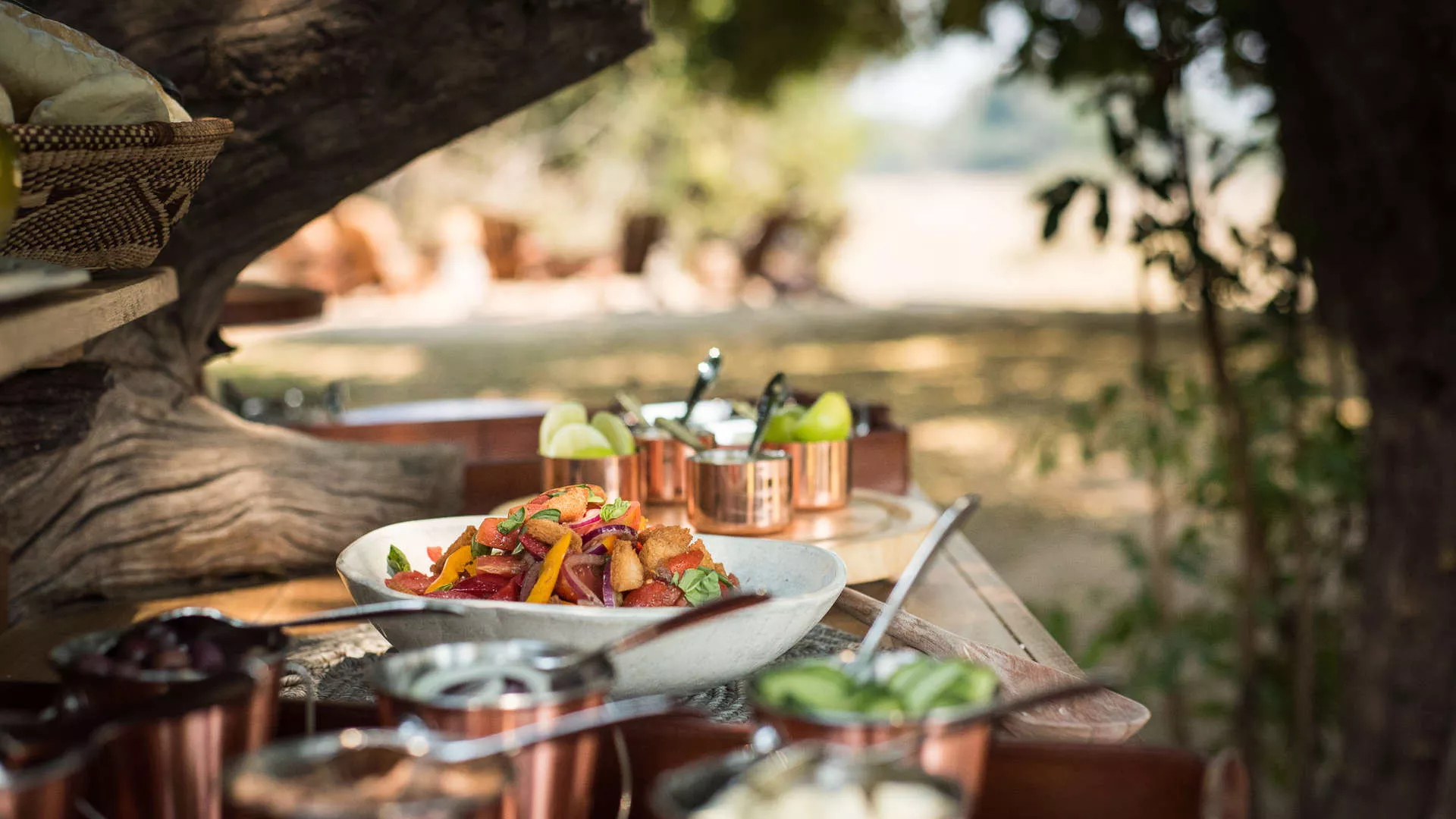 Victoria Falls e Safári no Zimbábue