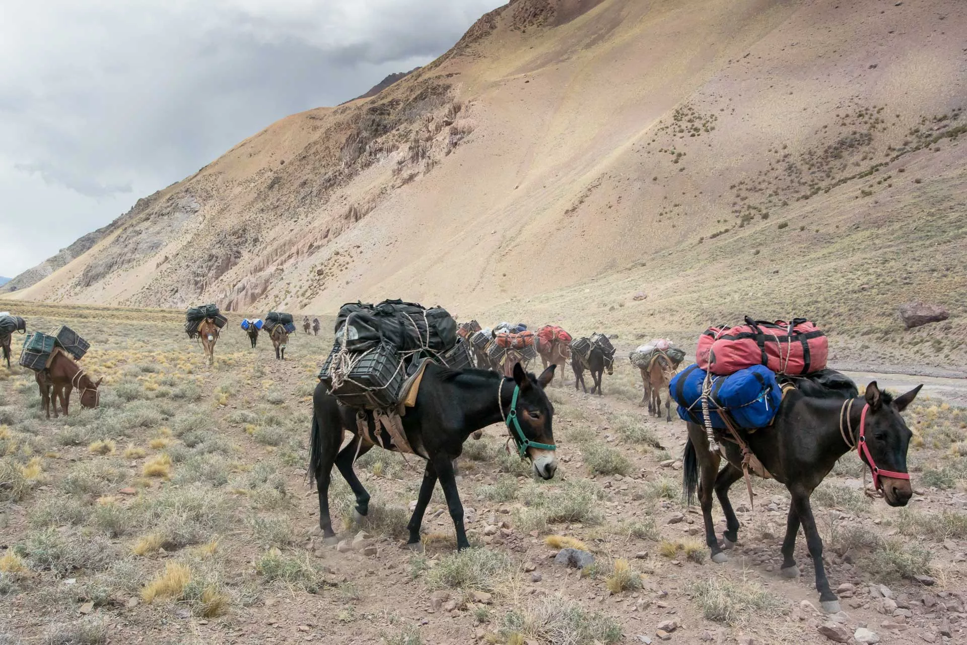 Aconcágua Plaza Argentina