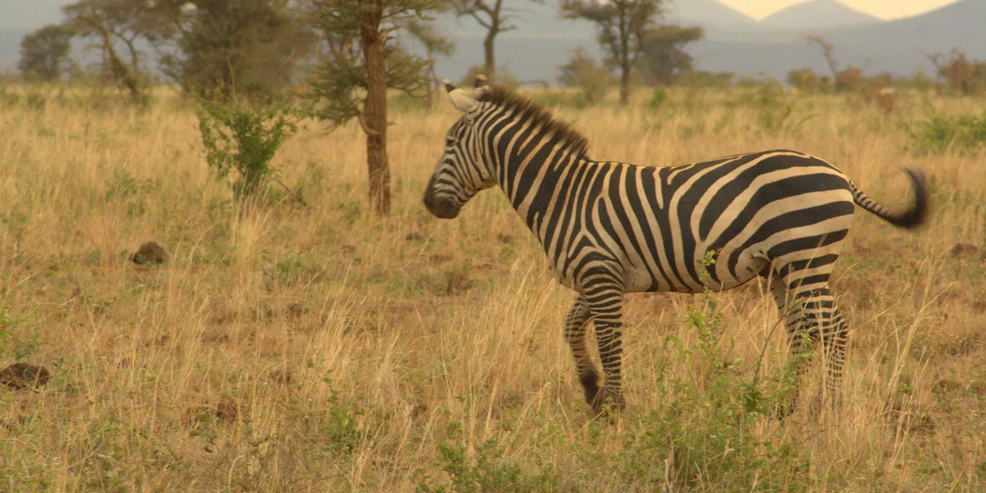 Lua de Mel Quênia e Ilhas Mauricio 